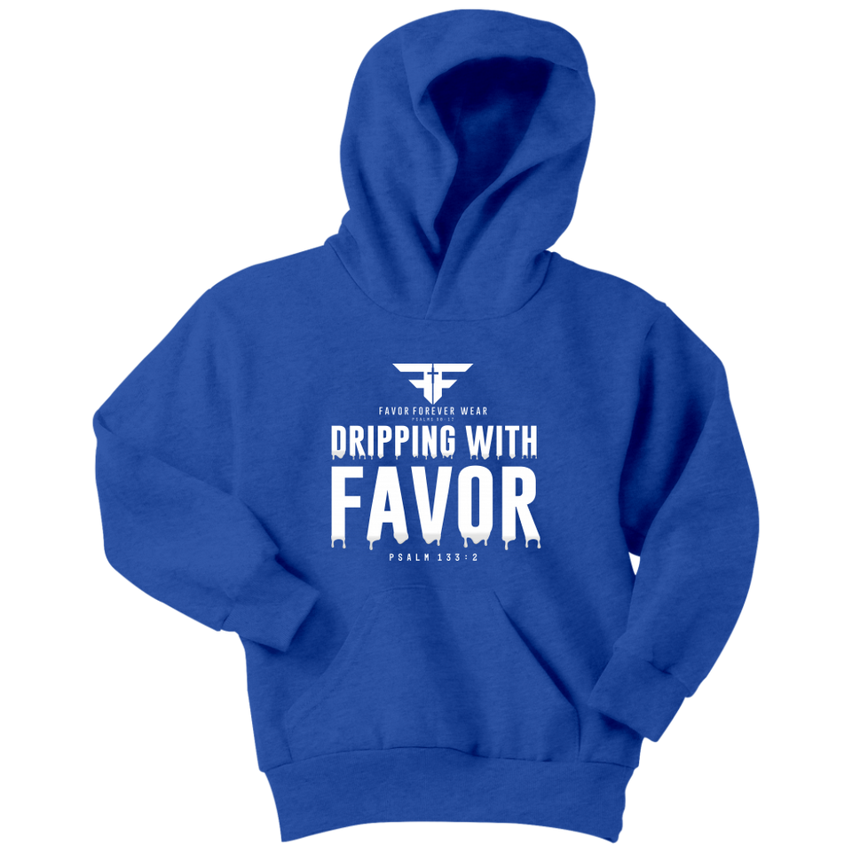 YOUTH FAVOR HOODIES I