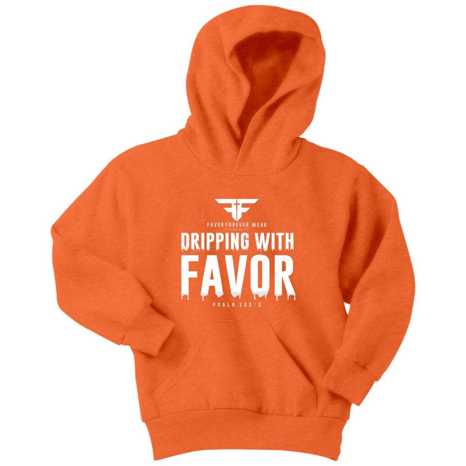 YOUTH FAVOR HOODIES I